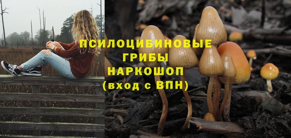 Альфа ПВП Белокуриха