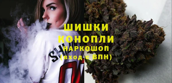 Альфа ПВП Белокуриха