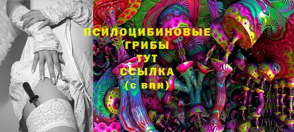 Альфа ПВП Белокуриха