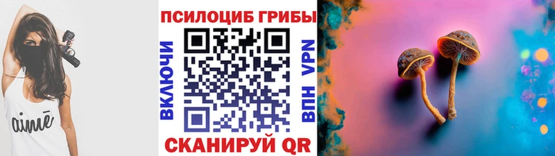 Купить  Окуловка  Псилоцибиновые грибы Psilocybine cubensis 